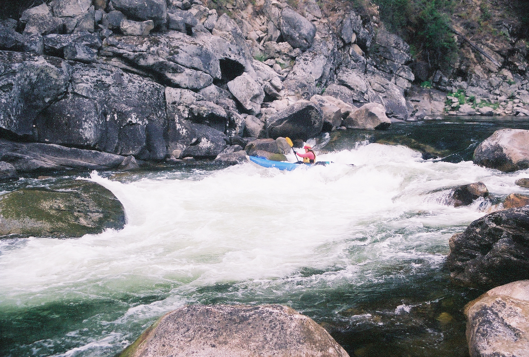 Jenny Thomas in Tee Kem rapid